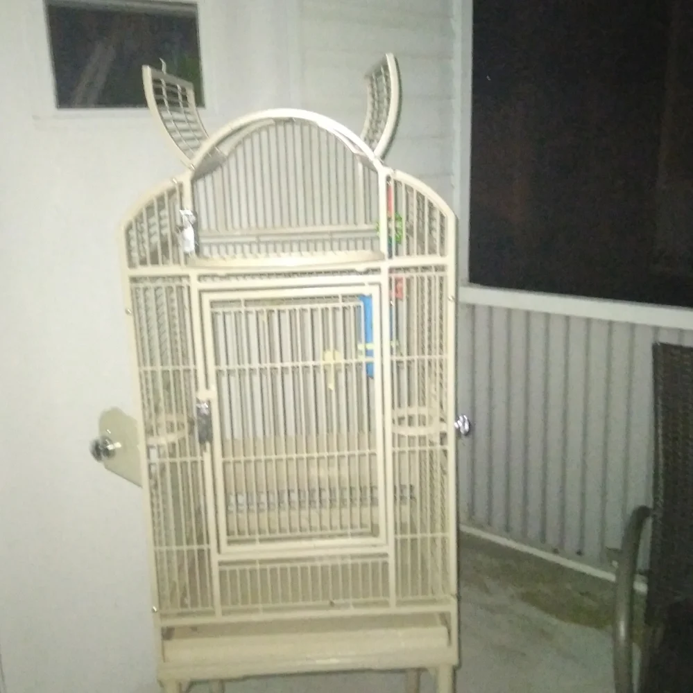Bird cage home
